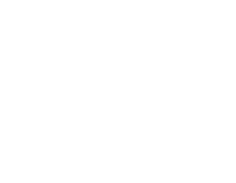 Logo ford